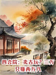 四合院卖了凑30万去创业